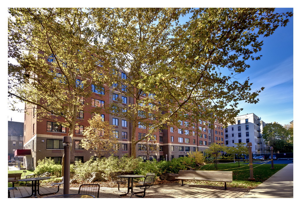 Crown Heights Rent